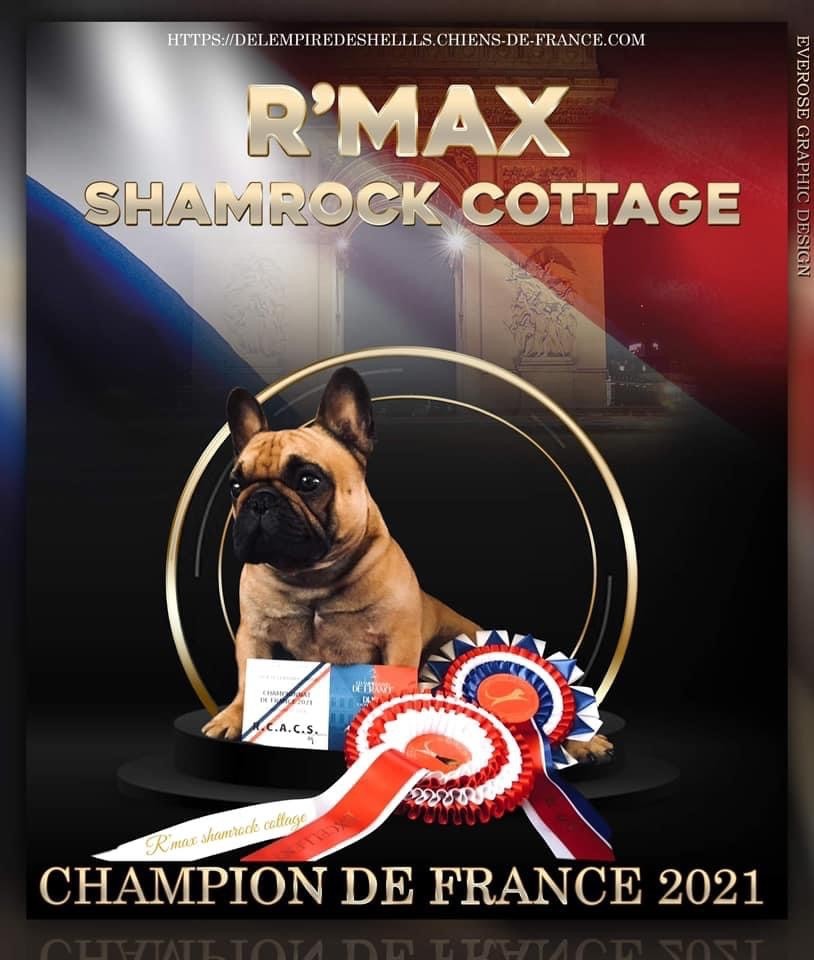 CH. R'max Shamrock Cottage