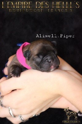 Aliwell piper 