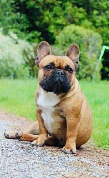 Romane des Seigneurs de l'Odyssée