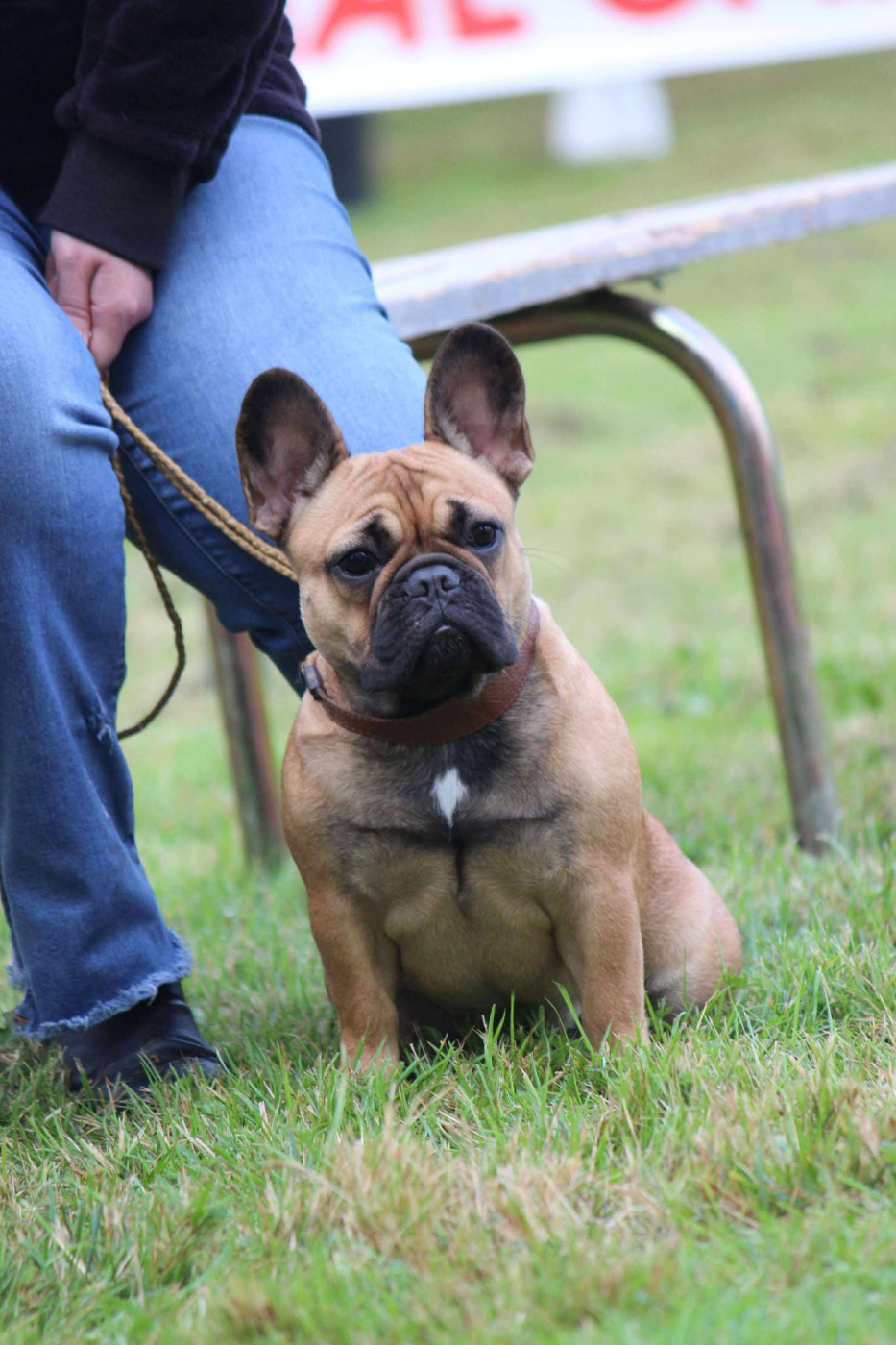 Arrogance d aloha de l'Empire des Hellls