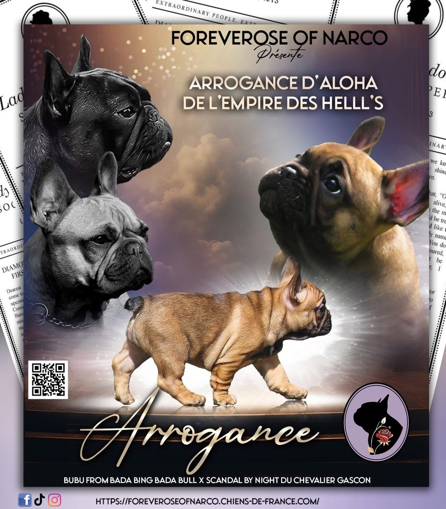 Arrogance d aloha de l'Empire des Hellls