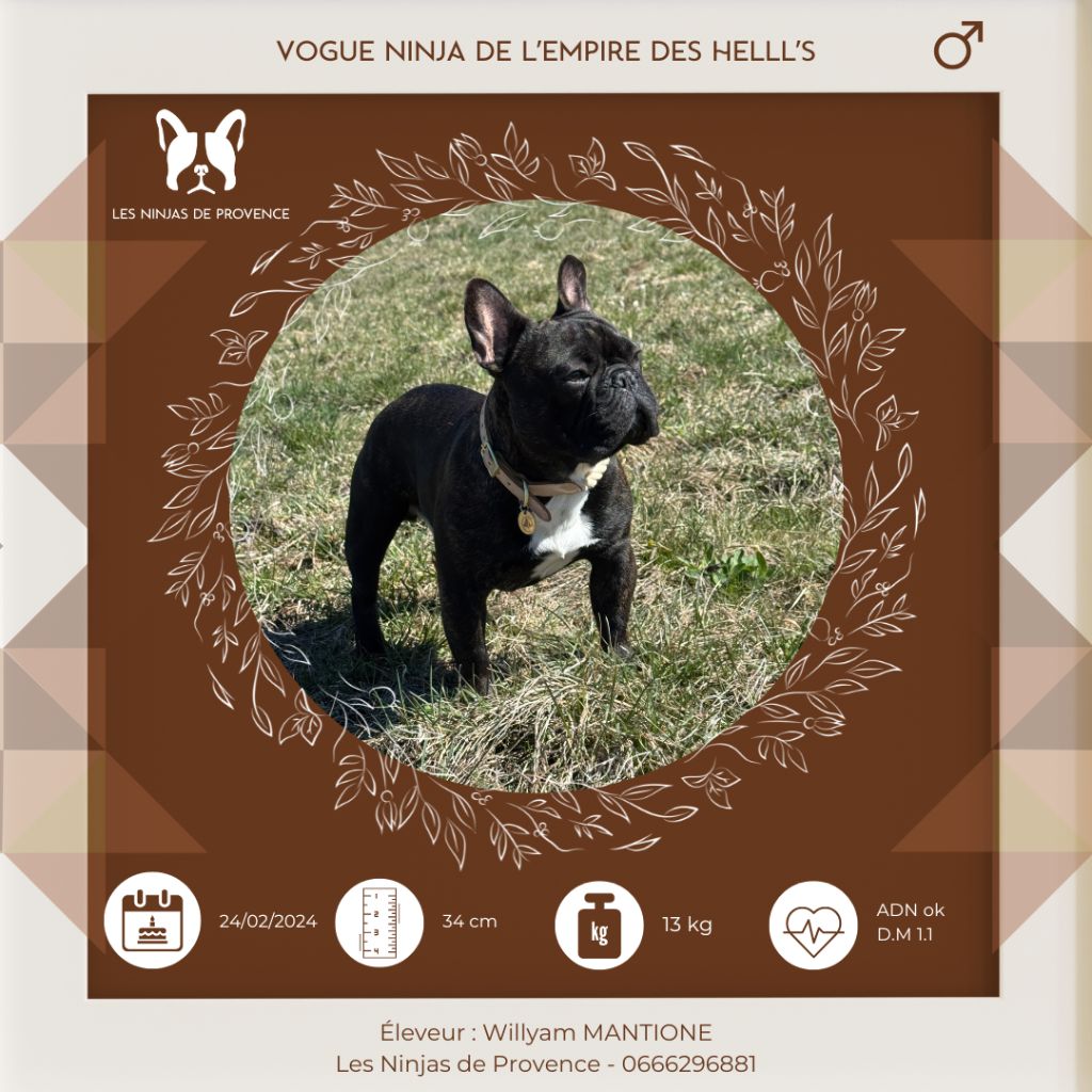 Vogue ninja de l'Empire des Hellls