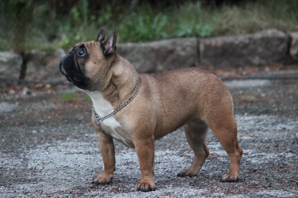 Une si belle romance de l'Empire des Hellls